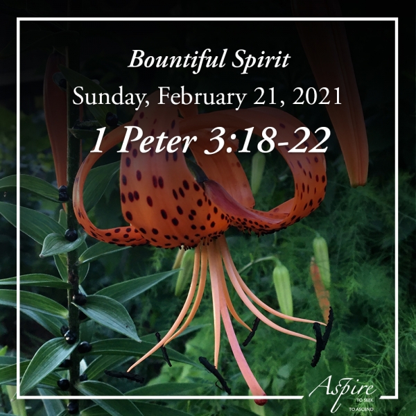 Bountiful Spirit - February 21, 2021
