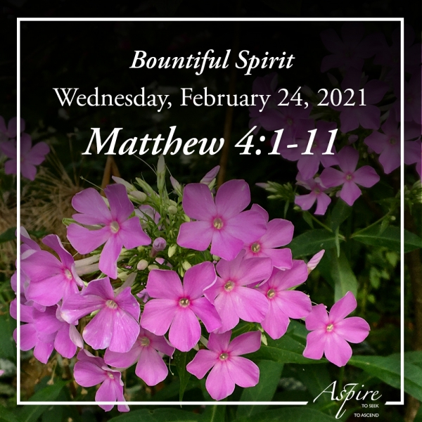Bountiful Spirit - February 24, 2021