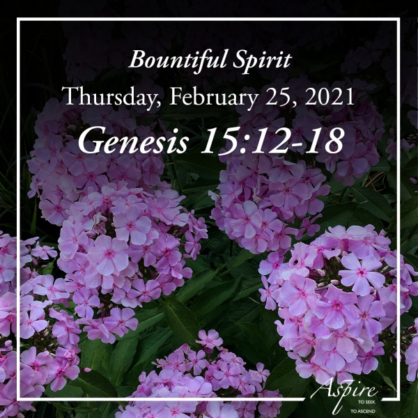 Bountiful Spirit - February 25, 2021