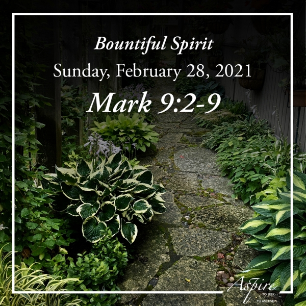 Bountiful Spirit - February 28, 2021