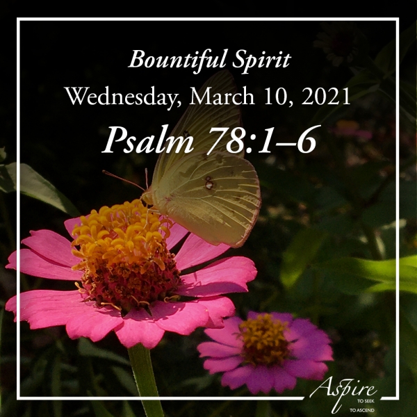 Bountiful Spirit - March 10, 2021