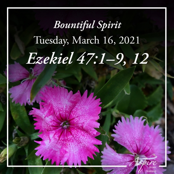 Bountiful Spirit - March 16, 2021