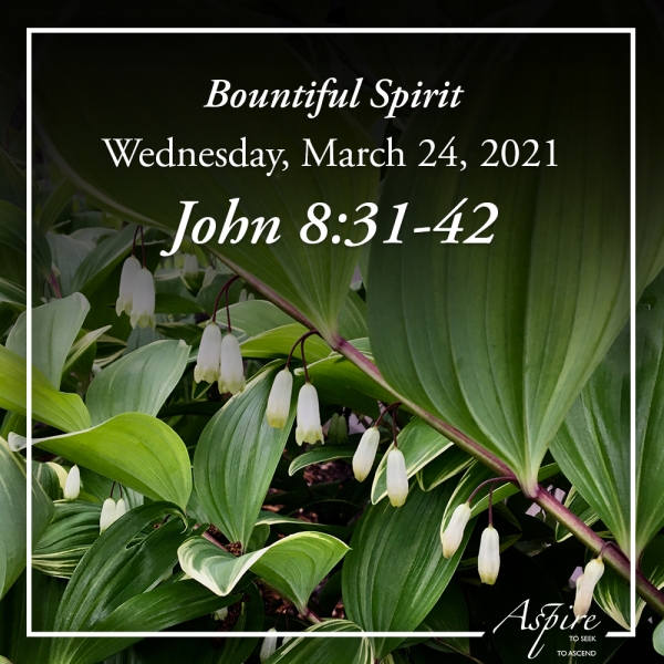 Bountiful Spirit - March 24, 2021