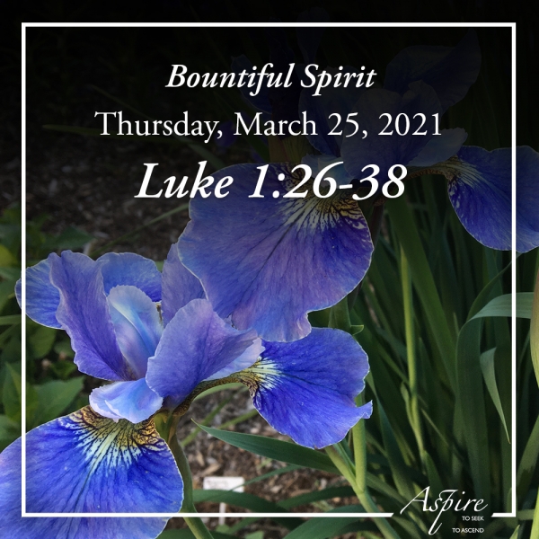 Bountiful Spirit - March 25, 2021