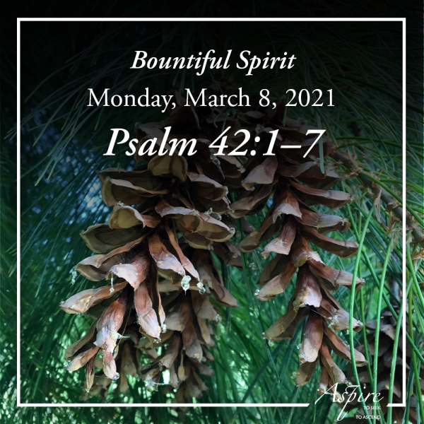 Bountiful Spirit - March 8, 2021