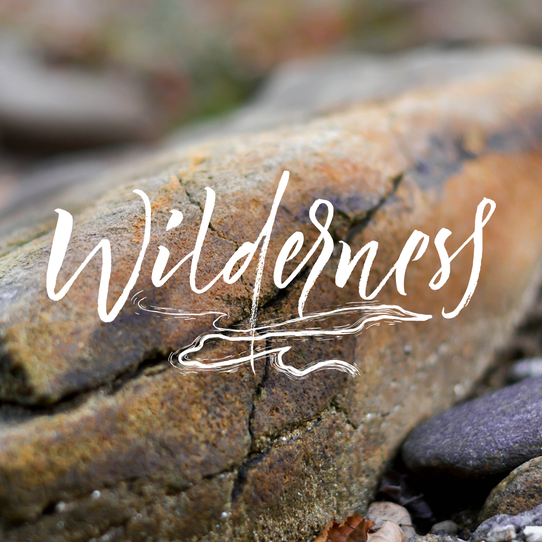wilderness_64